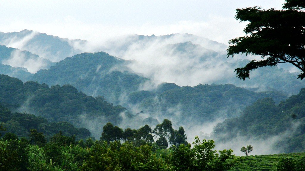 Trip to Bwindi Impenetrable Forest National Park(3days).